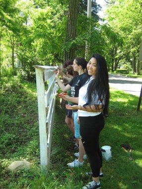 painting fence